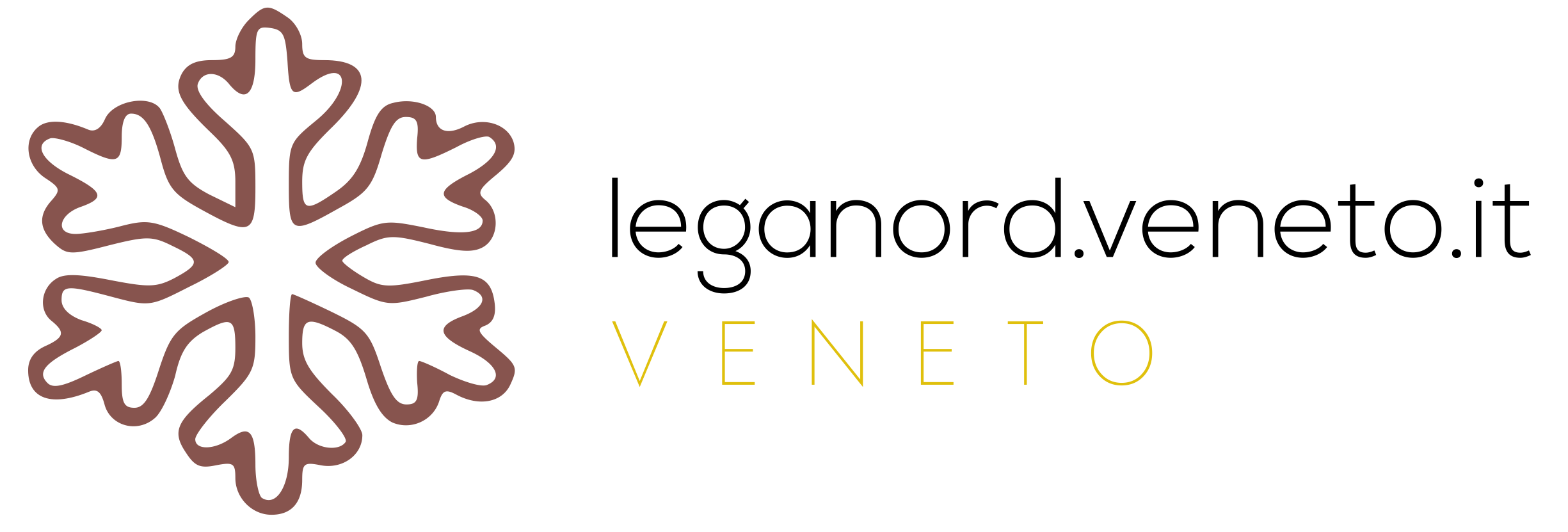 🏛 Leganord Veneto 🌟 Unione E Tradizione
